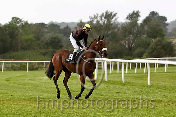 Brady's Hill & M C Hussey - 4th (9, black, yellow cap) - FT8E6386-e