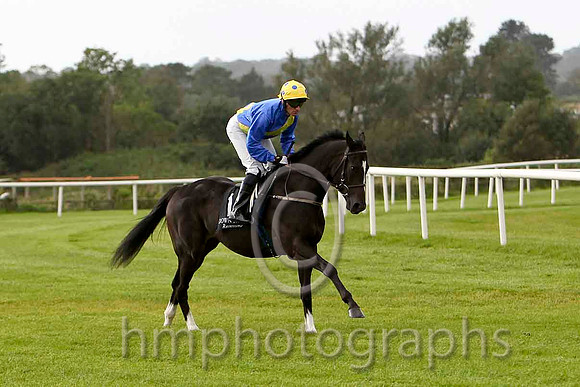 Tale Of Fame & J a Heffernan - 8th (1, royal blue, yellow sash) - FT8E6385-e