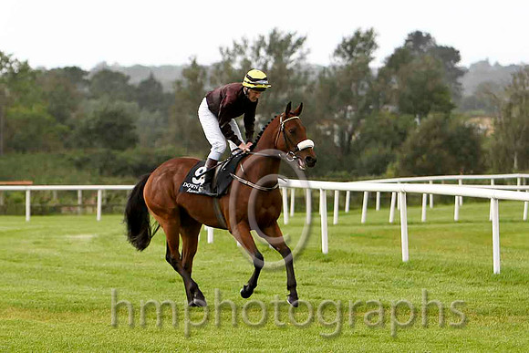 Brady's Hill & M C Hussey - 4th (9, black, yellow cap) - FT8E6387-e