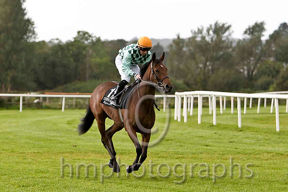 Rock On Coco & F Lynch - 5th (12, light green & dark green check) - FT8E6391-e