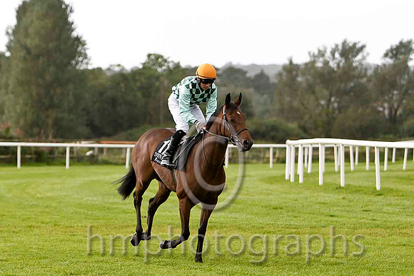 Rock On Coco & F Lynch - 5th (12, light green & dark green check) - FT8E6390-e