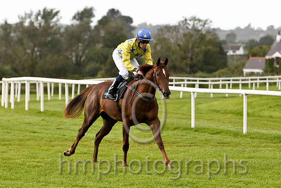 Griselda & C O'Donoghue - 9th (6, yellow , royal blue stars) - FT8E6392-e