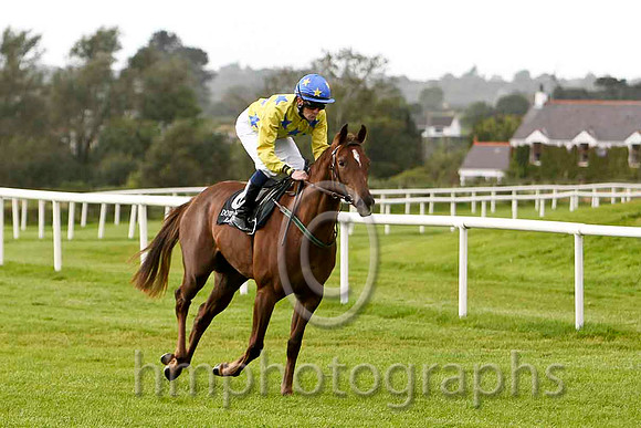 Griselda & C O'Donoghue - 9th (6, yellow , royal blue stars) - FT8E6393-e