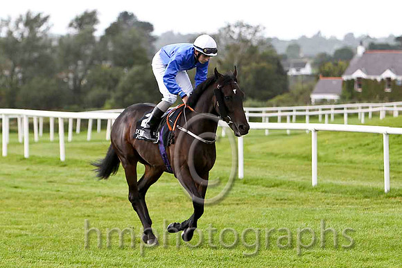 FromAJackToAKing & R P Whelan - Winner (2, royal blue, white cap) - FT8E6398-e