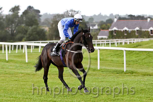 FromAJackToAKing & R P Whelan - Winner (2, royal blue, white cap) - FT8E6399-e