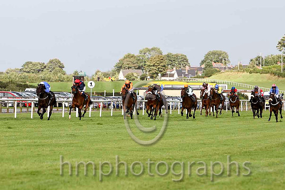 FromAJackToAKing & R P Whelan - Winner (2, royal blue, white cap) in the lead - FT8E6417-e2