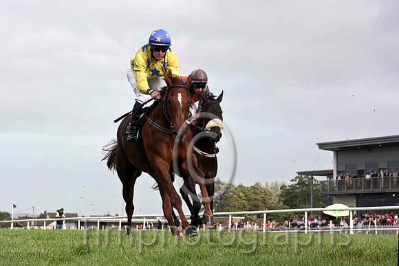 Griselda & C O'Donoghue - 9th (6, yellow , royal blue stars)  - IMG_0008-e2