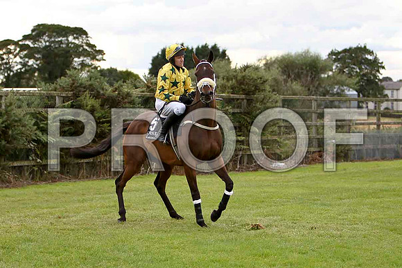 Resusatation , Jockey B J Geraghty - CU2D1986-e