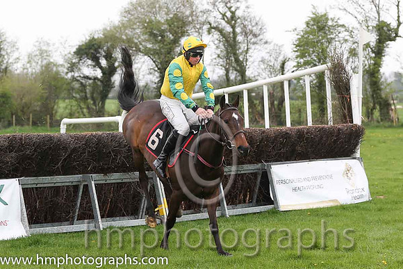 02nd Brooklyn Babe ( 6 ) and J J Codd - Trainer : W F Codd - yellow, emeraldgreen, yellow spot sleeves