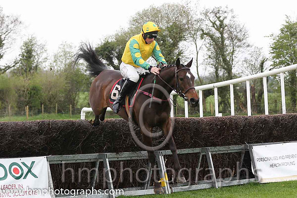 02nd Brooklyn Babe ( 6 ) and J J Codd - Trainer : W F Codd - yellow, emeraldgreen, yellow spot sleeves