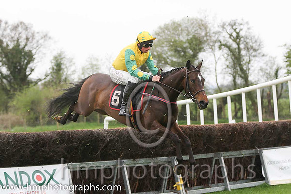 02nd Brooklyn Babe ( 6 ) and J J Codd - Trainer : W F Codd - yellow, emeraldgreen, yellow spot sleeves