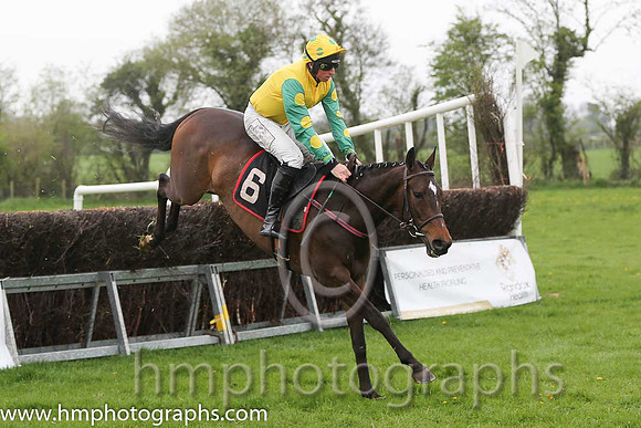 02nd Brooklyn Babe ( 6 ) and J J Codd - Trainer : W F Codd - yellow, emeraldgreen, yellow spot sleeves