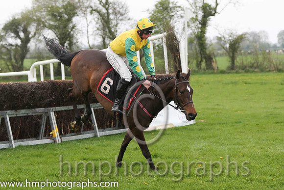 02nd Brooklyn Babe ( 6 ) and J J Codd - Trainer : W F Codd - yellow, emeraldgreen, yellow spot sleeves