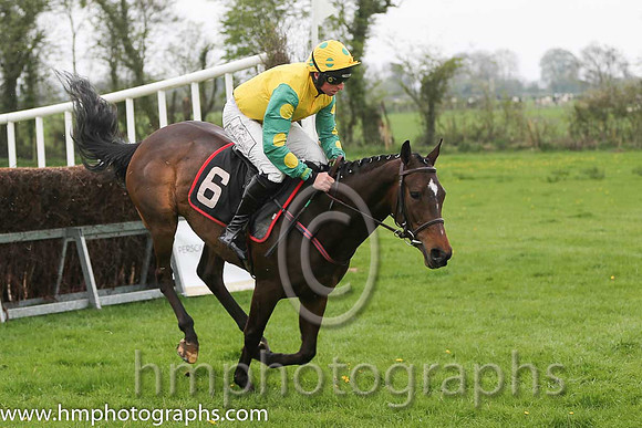 02nd Brooklyn Babe ( 6 ) and J J Codd - Trainer : W F Codd - yellow, emeraldgreen, yellow spot sleeves