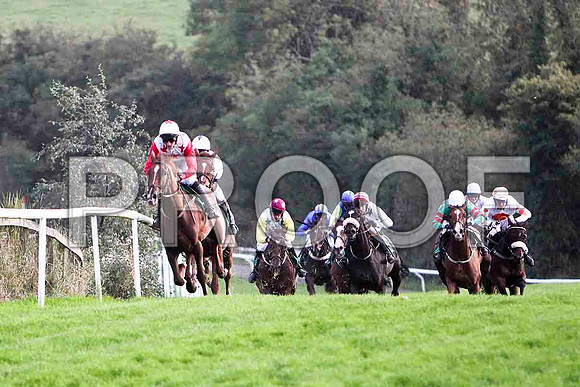 Bridgets Pet - Winner - FT8E5083-e2