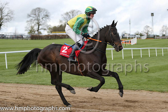 08th Elembridge King ( 2 , yellow, green hlvd ) and M.J. Scallan (7) - Trainer : Michael John Murphy - Owner : S. Connick
