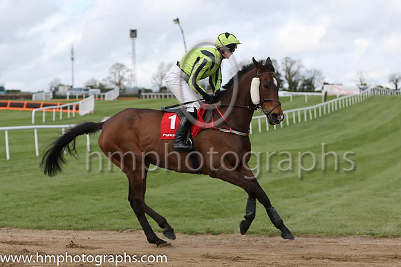 07th Boxer Georg ( 1 , green, black epaulettes ) and K. O'Farrell (7) - Trainer : Seamus O'Farrell - Owner : Mrs C.C. O'Farrell
