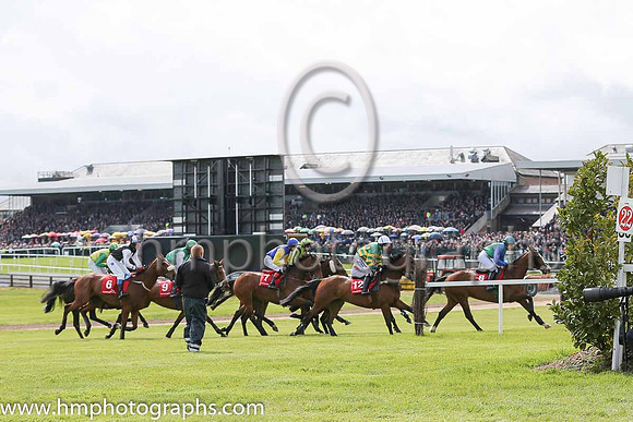 The Kildare Hunt Club Fr Sean Breen Memorial Steeplechase (for the Ladies Challenge Cup) at Punchestown