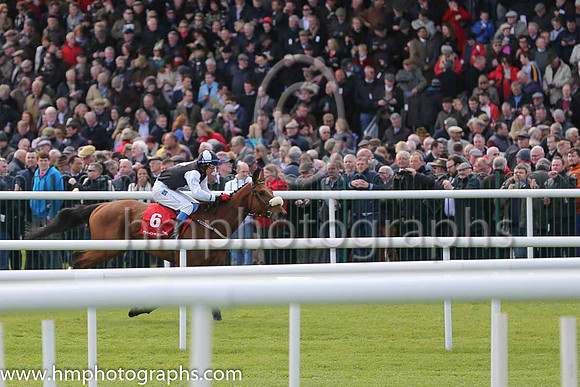 09th Solid Strike (GB) ( 6 , black, white diamond ) and J.T. Carroll (3) - Trainer : A.J.Kennedy - Owner : A.J.Kennedy