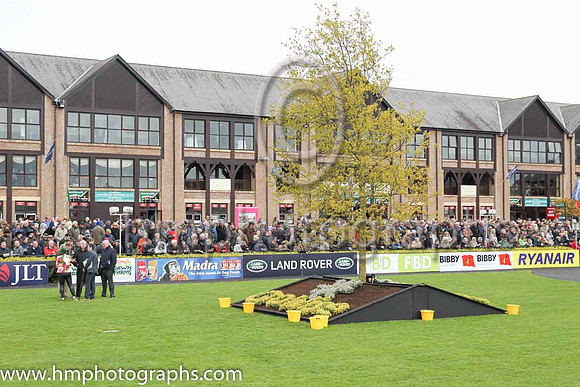 Punchestown Parade ring