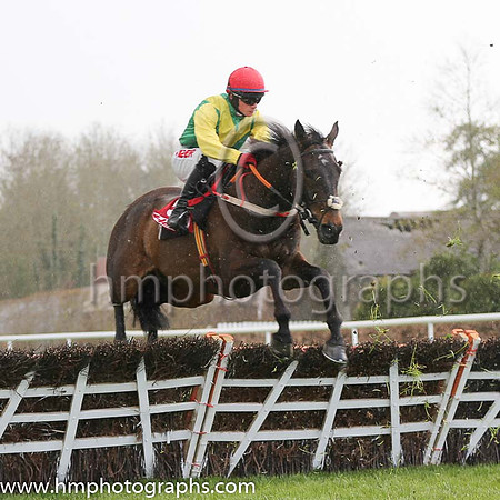 02nd Sizing John (GB) ( 5 , green, white chevron ) and J.J. Burke - Trainer : Henry de Bromhead - Owner : Ann  Alan Potts Partnership