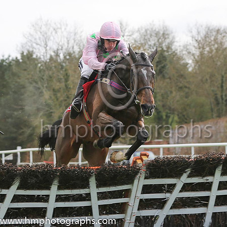 01st Douvan (FR) ( 3 , pink, light green stars ) and R. Walsh - Trainer : W.P. Mullins - Owner : Mrs S Ricci
