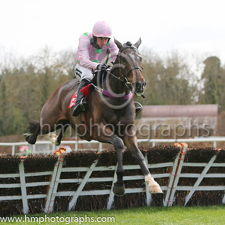 01st Douvan (FR) ( 3 , pink, light green stars ) and R. Walsh - Trainer : W.P. Mullins - Owner : Mrs S Ricci