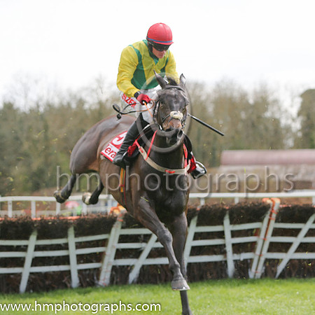 02nd Sizing John (GB) ( 5 , green, white chevron ) and J.J. Burke - Trainer : Henry de Bromhead - Owner : Ann  Alan Potts Partnership