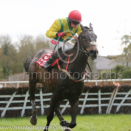 02nd Sizing John (GB) ( 5 , green, white chevron ) and J.J. Burke - Trainer : Henry de Bromhead - Owner : Ann  Alan Potts Partnership
