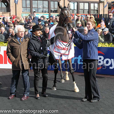 01st Douvan (FR) ( 3 , pink, light green stars ) and R. Walsh - Trainer : W.P. Mullins - Owner : Mrs S Ricci