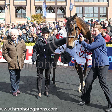 01st Douvan (FR) ( 3 , pink, light green stars ) and R. Walsh - Trainer : W.P. Mullins - Owner : Mrs S Ricci