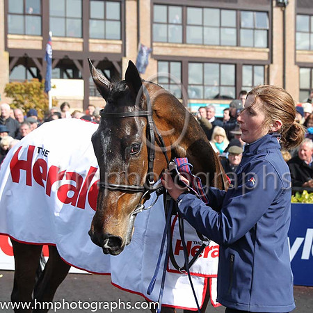 01st Douvan (FR) ( 3 , pink, light green stars ) and R. Walsh - Trainer : W.P. Mullins - Owner : Mrs S Ricci