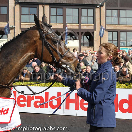 01st Douvan (FR) ( 3 , pink, light green stars ) and R. Walsh - Trainer : W.P. Mullins - Owner : Mrs S Ricci
