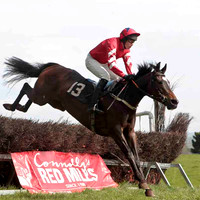 Traad Bay , 4th, Jockey - W Thompson -CU2D4561-e