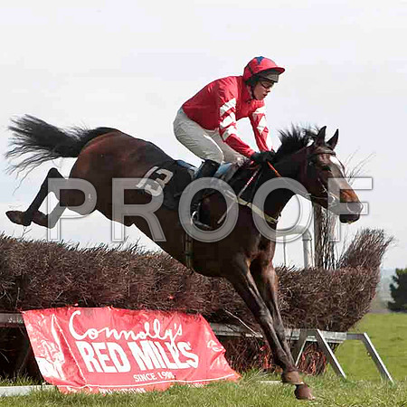 Traad Bay , 4th, Jockey - W Thompson -CU2D4561-e