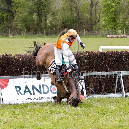 Baba Black Sheep (18) & B O Walsh - FFT8E1709-e