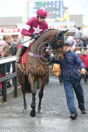 02nd Analifet (FR) ( 1 , maroon, white star ) and B.J. Cooper - Trainer : W.P. Mullins - Owner : Gigginstown House Stud