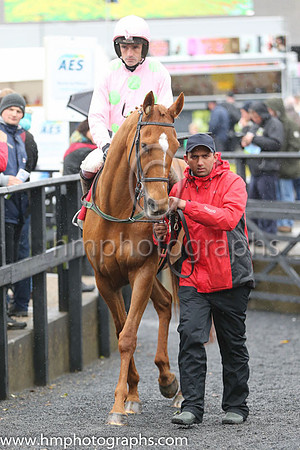 01st Annie Power ( 2 , pink, light green stars ) and R. Walsh - Trainer : W.P. Mullins - Owner : Mrs S Ricci