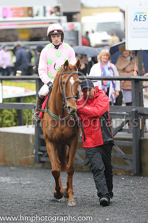 01st Annie Power ( 2 , pink, light green stars ) and R. Walsh - Trainer : W.P. Mullins - Owner : Mrs S Ricci