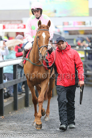 01st Annie Power ( 2 , pink, light green stars ) and R. Walsh - Trainer : W.P. Mullins - Owner : Mrs S Ricci