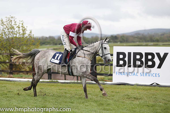 01st Petite Parisienne (FR) ( 11 , maroon, white star ) and B.J. Cooper - Trainer : W.P. Mullins - Owner : Gigginstown House Stud