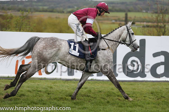 01st Petite Parisienne (FR) ( 11 , maroon, white star ) and B.J. Cooper - Trainer : W.P. Mullins - Owner : Gigginstown House Stud