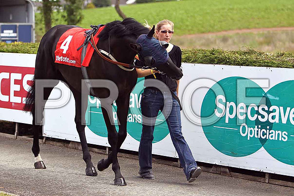 Danehill Tapdancer - 6th - CU2D0390-e
