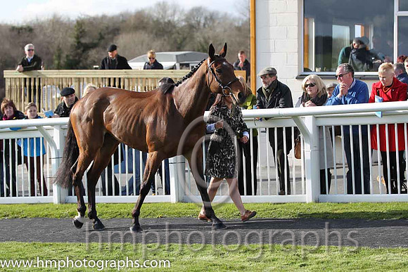 Carsonstown Boy - second in the CGA Foxhunter Chase at Cheltenham -FT8E4341-19
