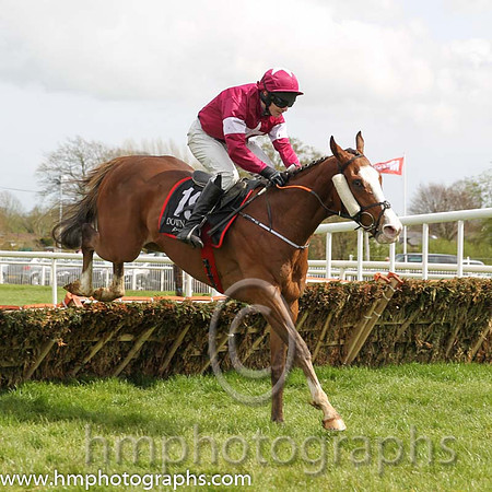 15th Credulous ( 19 , maroon, white stars ) and D.J. Casey - Trainer : Gordon Elliott - Owner : Gigginstown House Stud