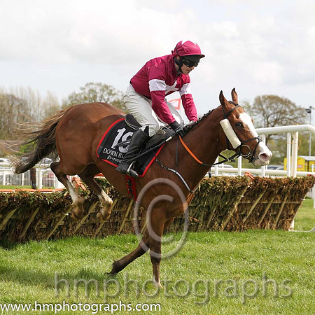 15th Credulous ( 19 , maroon, white stars ) and D.J. Casey - Trainer : Gordon Elliott - Owner : Gigginstown House Stud