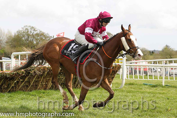 15th Credulous ( 19 , maroon, white stars ) and D.J. Casey - Trainer : Gordon Elliott - Owner : Gigginstown House Stud