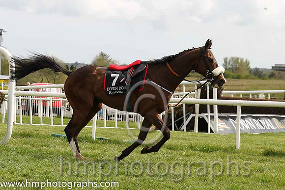 20th F Sandusky (GB) ( 7 , grey and emerald green diabolo ) and K.M. Donoghue - Trainer : Gordon Elliott - Owner : Mark McKay