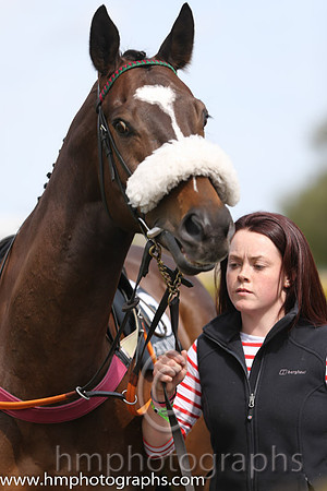 Racing at Down Royal on May Day 2015
