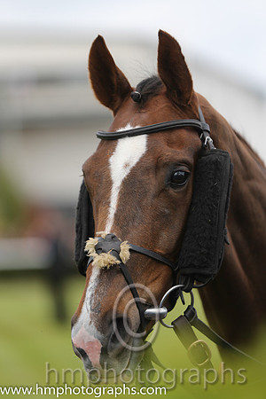 Racing at Down Royal on May Day 2015